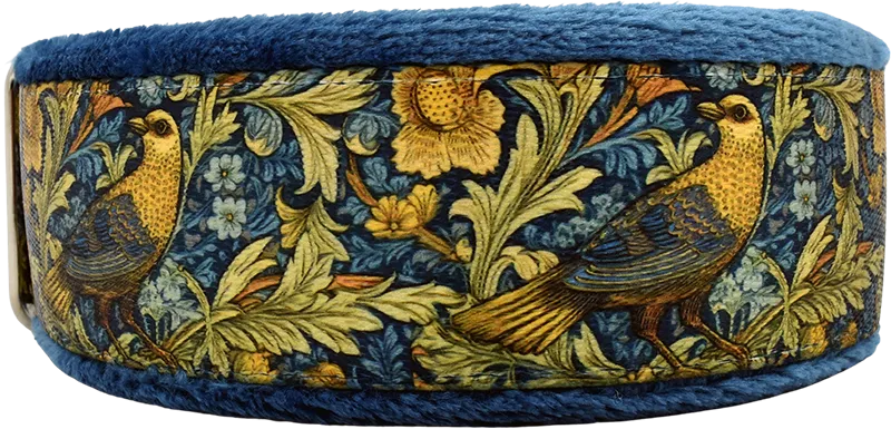 1.5" Flight of Fancy Everyday Limited Slip Collar