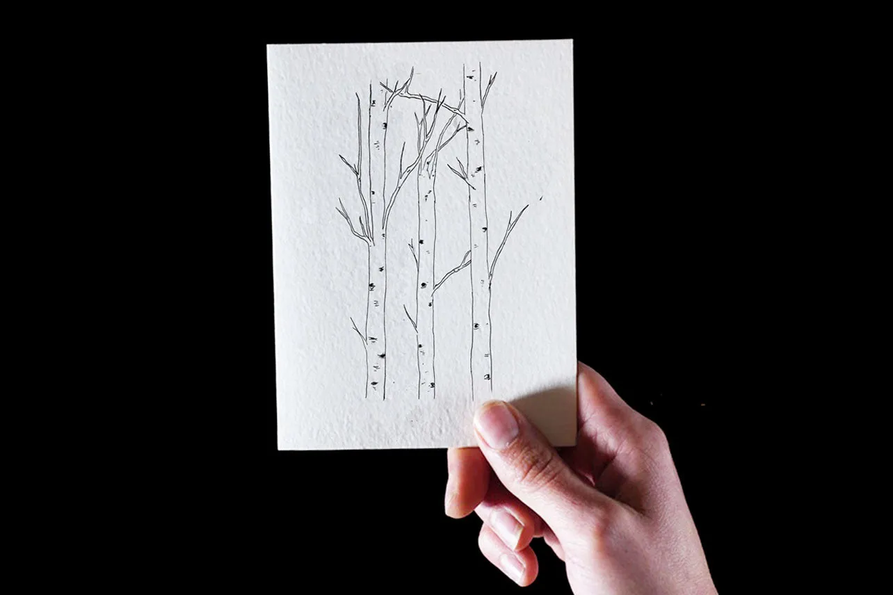Aspens // Birch trees Letterpress Greeting Card