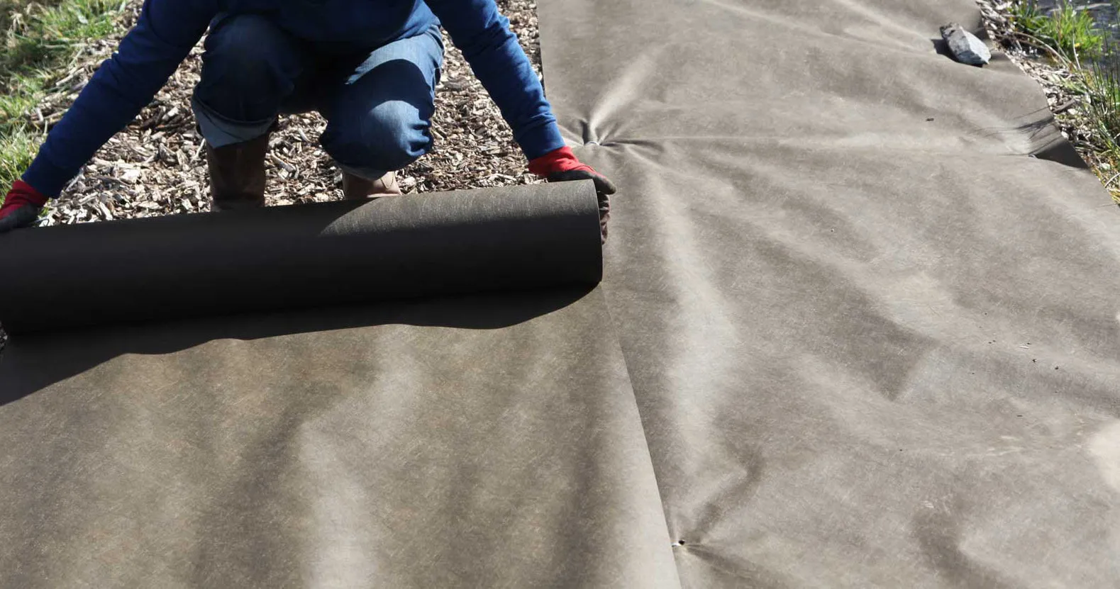Cornstarch_Heavyweight | Slow Biodegradable Mulch | 118cm x 100m
