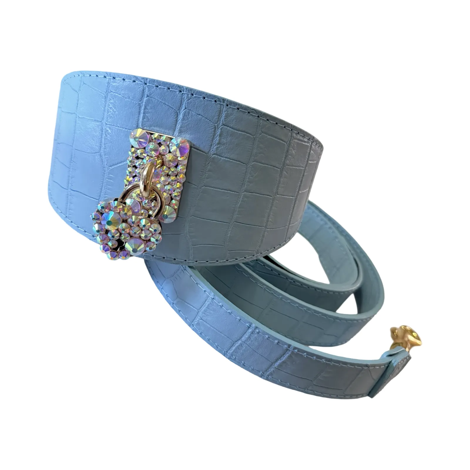 Del Mar Collar & Leash Set