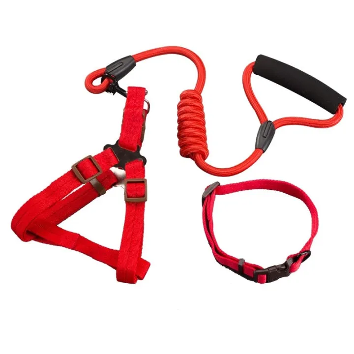 Fashion Durable Outside Dog Leash