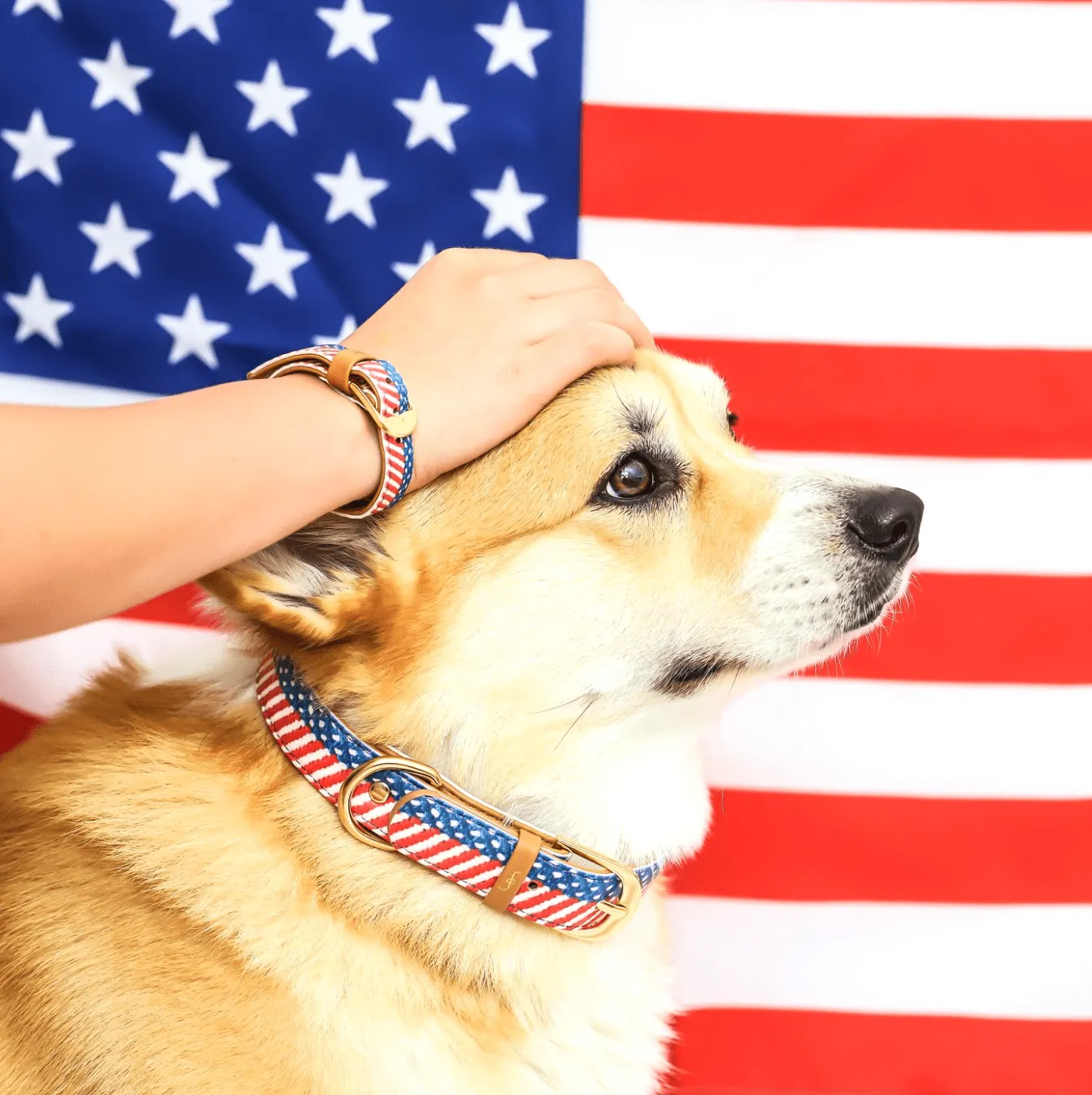 THE FRIENDSHIP COLLAR COLLECTION
